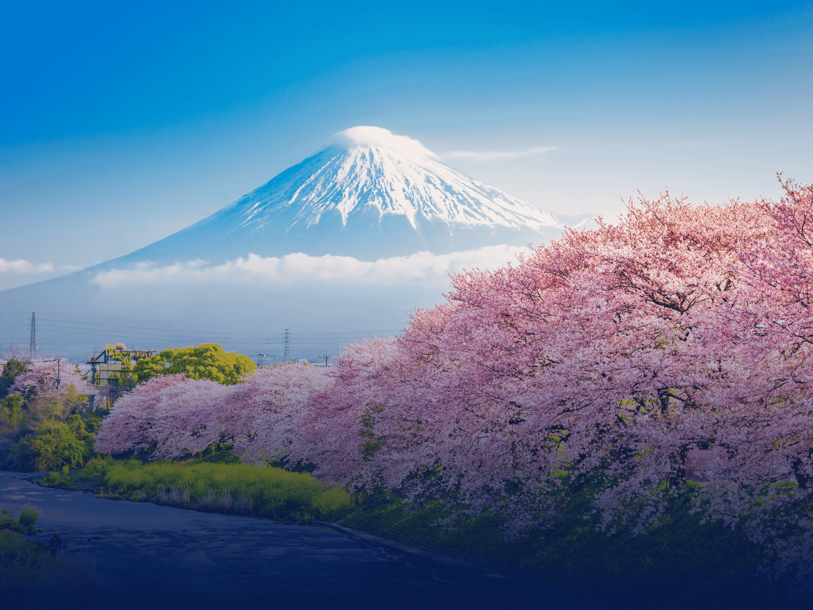 Japonya