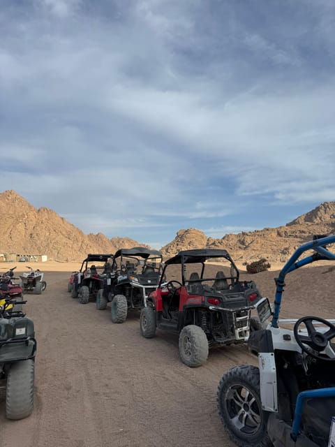 Dubai'de Standart Safari